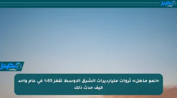 «نمو مذهل» ثروات مليارديرات الشرق الأوسط تقفز 65% في عام واحد كيف حدث ذلك